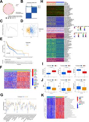 Tertiary lymphoid structure-related score as a predictor for survival prognosis and immunotherapy response in head and neck squamous cell carcinoma